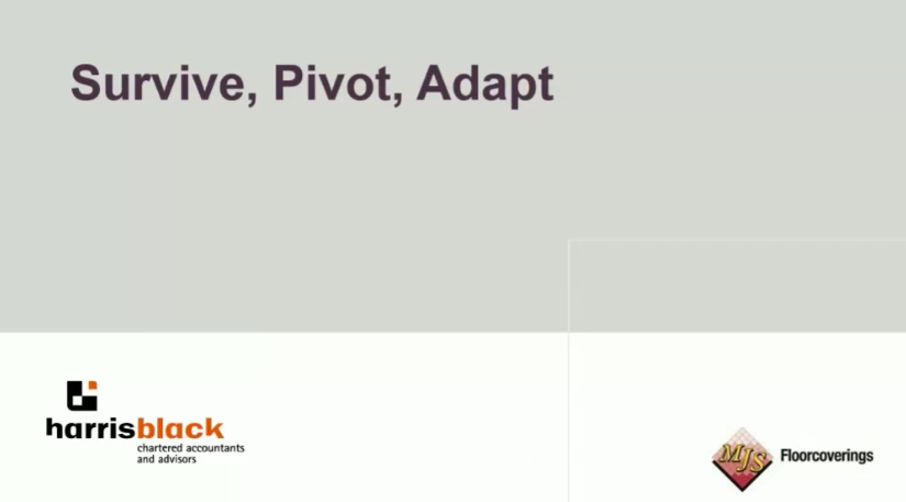 Survive.Pivot.Adapt