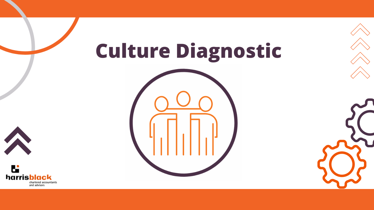 Culture Diagnostic