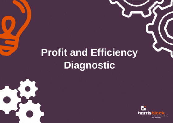 Profit And Efficiency Diagnostic